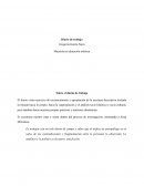 Maestría en educación artística. Sobre el diario de trabajo