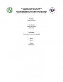 Interacción Humano Computador