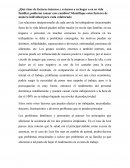 Ensayo De Calidad de Vida