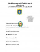 Primer avance del Proyecto de Investigación de Mercados