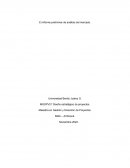 El informe preliminar de análisis del mercado