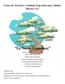 Empresa para asistencia social