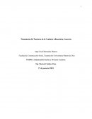 Tratamiento del Trastorno de la Conducta Alimentaria; Anorexia