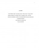 Plan de cuenta. Conceptualizaciones, grupos y saldos