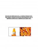 Estudio de mercado Nectar