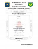 Resumen del libro Un nuevo mundo sin fin