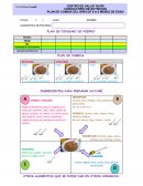 Plan de alimentación niños