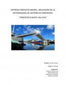 Entrega proyecto grupal: aplicación de la metodología de gestión de contratos. “Proyecto puente Cau Cau”