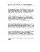 Trabajo práctico clase 1 Comunicación Profesional