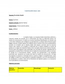 Planificación anual 5 horas opinión publica