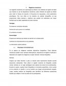 Registros mecánicos