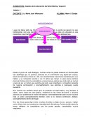 Sujetos de la educación del Nivel Medio y Superior