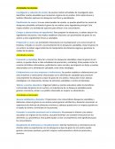 Actividades funcionales y sociales