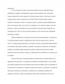 La motivación. Trabajo de Desarrollo de Destrezas para el aprendizaje