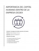 Importancia del capital humano dentro de la empresa Cecoex