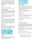 Herrajes de pesca(Aparejos)