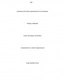 Importancia del diseño organizacional en las empresas