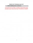 Esbozo del ”Programa analítico”