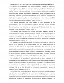 Importancia de los insectos en los ecosistemas agrícolas