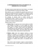 La irresponsabilidad hacia los animales, un problema en la actualidad