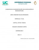 Capital, activo y pasivo