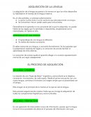 Adquisición de la lengua