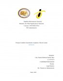 Principio Contables Generalmente Aceptados y Plan de Cuentas