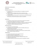 Informe anual por dimensiones