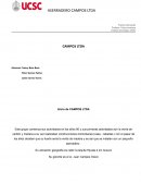 Aserradero Campos Ltda