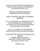 Elabora un informe de auditoría de estados financieros