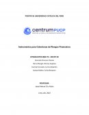 Instrumentos para Coberturas de Riesgos Financieros