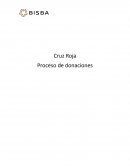 Cruz Roja Proceso de donaciones