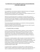 El papel de la ecuación de Euler en los estudios del consumo agregado