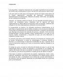 Caso Análisis Administratios Tecmeca