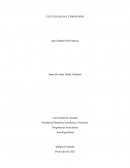 Cultura de paz y profesión