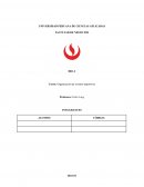 Informe de plan de comunicacion y ceremonia
