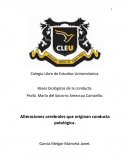 Alteraciones cerebrales que originan conducta patológica