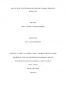 Ensayo propuesta de innovación implementadas al proyecto productivo