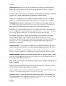 Habilidades creativas para los negocios