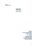 Auditoría Sede Viña del Mar