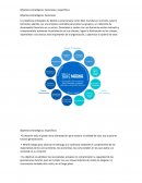 Objetivos estratégicos: Generales y específicos