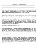 Third sunday after pentecost