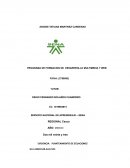 Programa de formacion de desarrrollo multimedia y web