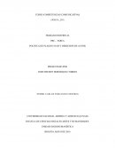 Politica de plagio UNAD y derechos de autor