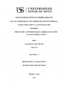 Impacto de la informalidad laboral en el Perú en los últimos 5 años