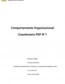 Temperamento y Carácter