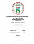 Motor Stirling Y Sus Aplicaciones