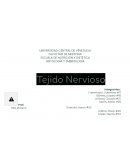 Tejido Nervioso