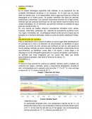 Marco teorico. Cuenca