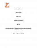 Estrategias de promoción, canales de distribución y estrategias de precios